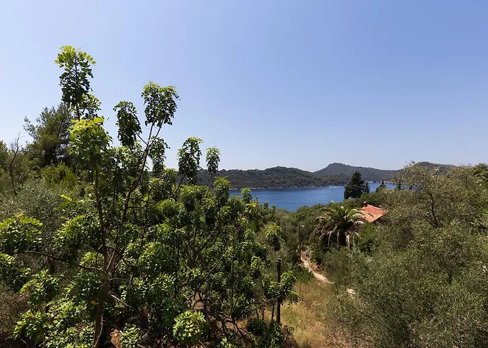 Kod Jadranke 아파트